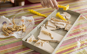 Educational game to find fossils for a small archaeologist, with children's hands digging